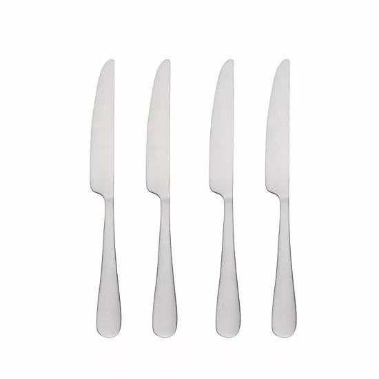 Food Network™ 4-pc. Classic Silver Dinner Knife Set